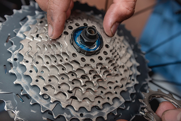 The Wild World of Bicycle Drivetrains